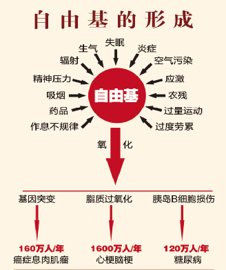 虾青素 自由基介绍(图14)